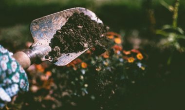 Gardening Service in Sunderland