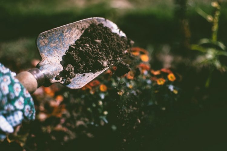Gardening Service in Sunderland