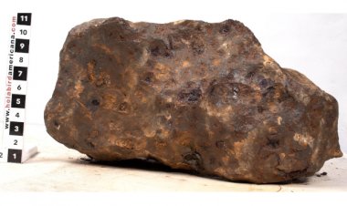 Hundreds of Collectibles Change Hands at Holabird's June Minerals Galore & Western Americana Auction