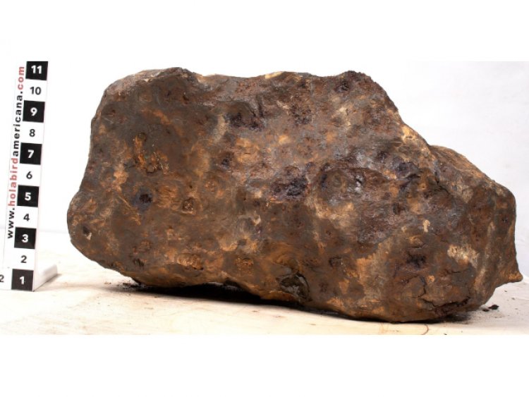 Hundreds of Collectibles Change Hands at Holabird's June Minerals Galore & Western Americana Auction