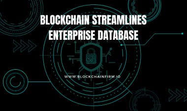Simplifying Data Management with Blockchain Technology