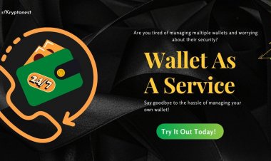Will Wallet as a Service (WaaS) Go Mainstream This Crypto Winter?