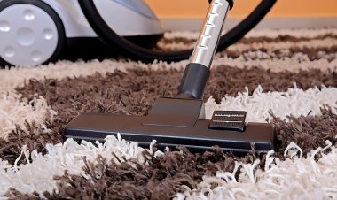 What to Expect from a Professional Carpet Cleaning Service
