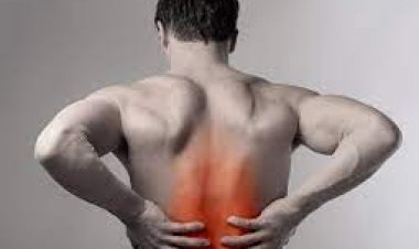 You don't have to put up with back pain! Think About This Advice!
