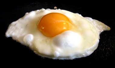 Can Parrots Eat Eggs? Unveiling the Nutritional Benefits and Considerations