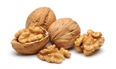 Can Cockatiels Eat Walnuts? Tips, Risks, and Guidelines