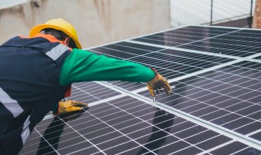 The Rising Popularity of Solar Panels in 2024