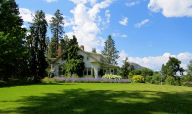 5 Spring Tips For A Better Lawn This Year, Prescription For A Lush Lawn From Lawn Doctor