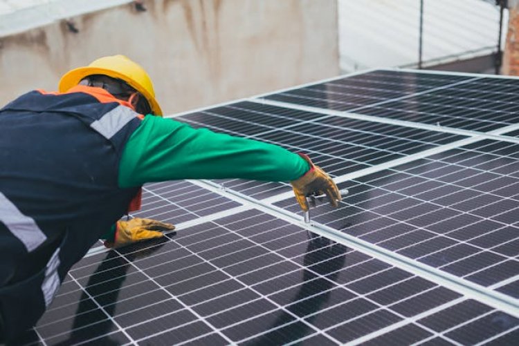 The Rising Popularity of Solar Panels in 2024