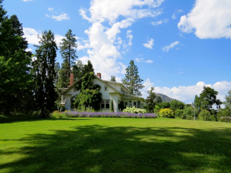 5 Spring Tips For A Better Lawn This Year, Prescription For A Lush Lawn From Lawn Doctor