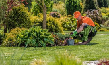 Professional Handyman Services in Sunderland