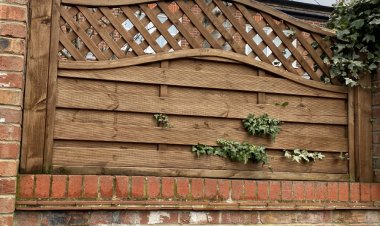 Comprehensive Guide to Wood Fencing Repair and Replacement in Newcastle