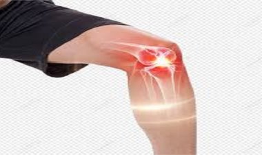 The Role of Physical Therapy in Treating Back and Muscle Pain