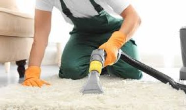 How Expert Carpet Cleaning Enhances Home Ambiance