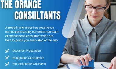 Effortlessly Track Your Qatar Visa Status Online
