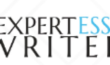 Where to Hire the Best Professional Essay Writers