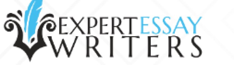 Where to Hire the Best Professional Essay Writers