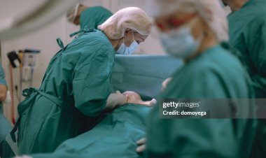 Advancing Cardiac Expertise: The Vital Role of Perfusion Cadaver Lab Training