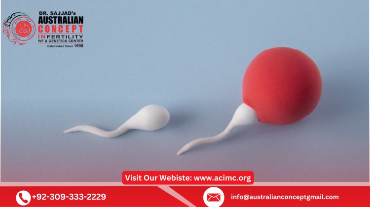 What Are the Success Rates of IUI Treatment in Pakistan