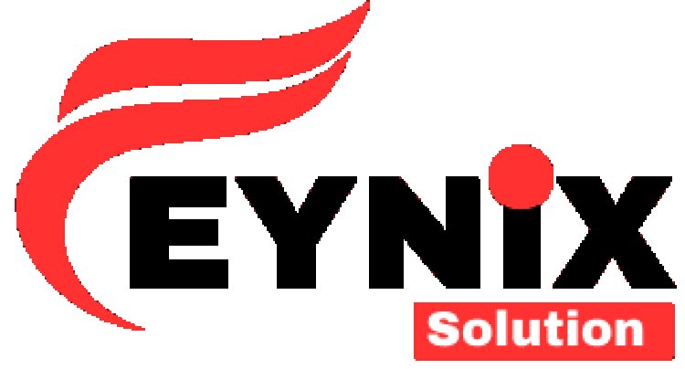 Feynix Solution: A Complete Digital Partner for Modern Businesses