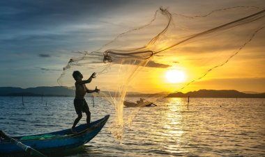 Florida Fishing Charters: Explore the Best Spots with Expert Guides