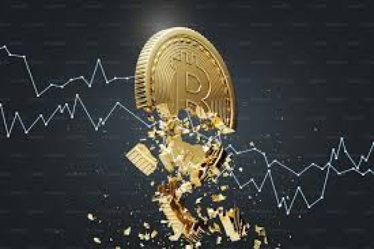 Official Website:- https://www.pinlink.biz/