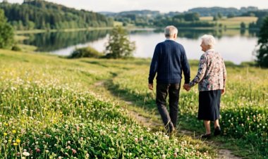 Johnson Brunetti to Host "Road to Retirement Success" Event in Wrentham