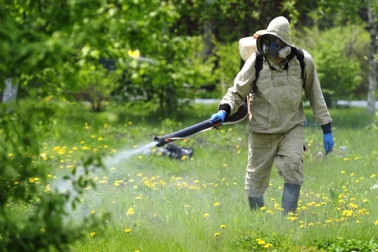 Premium Pest Management and Turf Excellence in British Columbia