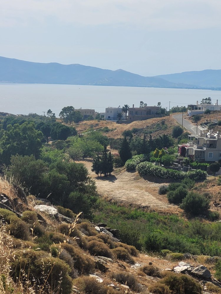 Can Americans Buy a House in Greece? Everything You Need to Know