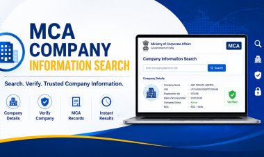 MCA 21 Master Data: Company Search, CIN & ROC Records Guide